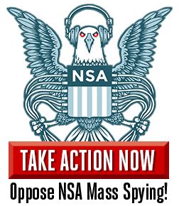 nsa definition|More.